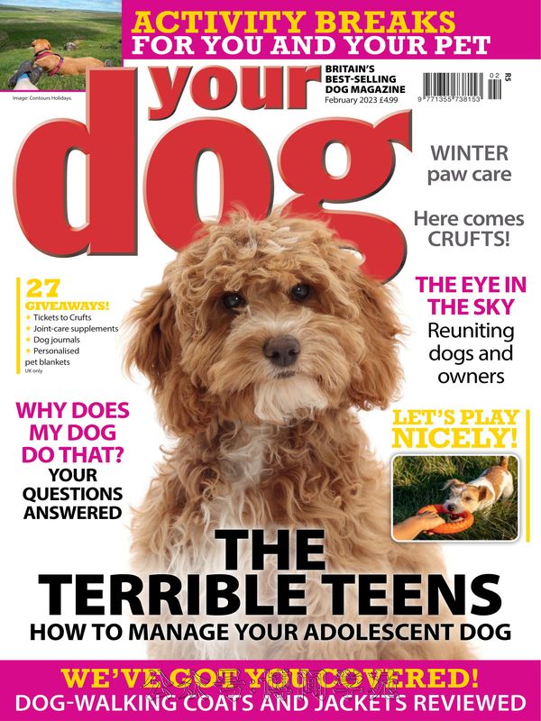 Your Dog 英国宠物狗杂志 2023年2月刊 (.PDF)