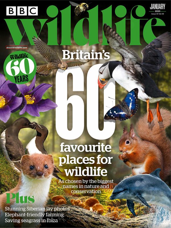 BBC Wildlife BBC野生动物 2023年1月刊 (.PDF)