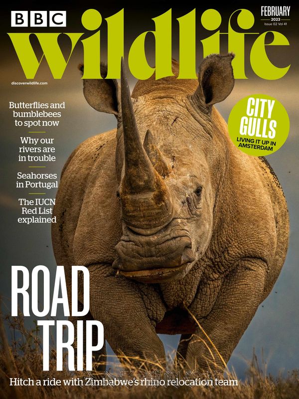 BBC Wildlife BBC野生动物 2023年2月刊 (.PDF)