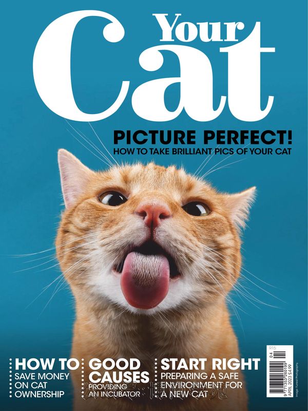 Your Cat 英国宠物猫杂志 2023年4月刊 (.PDF)