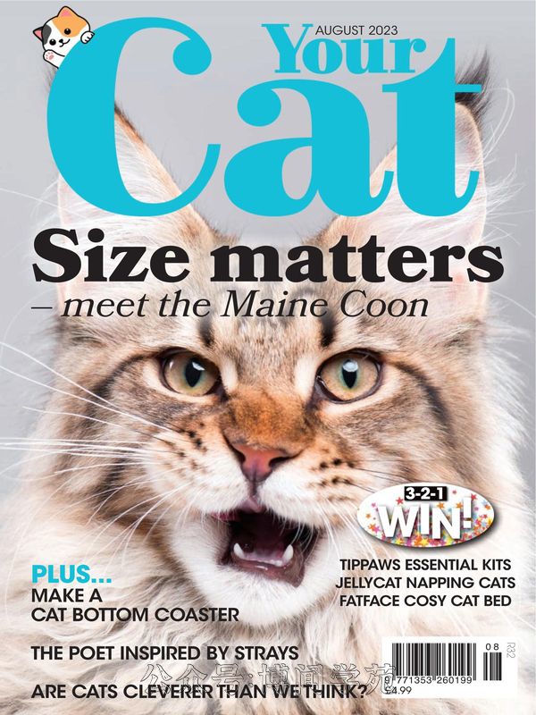 Your Cat 英国宠物猫杂志 2023年8月刊 (.PDF)