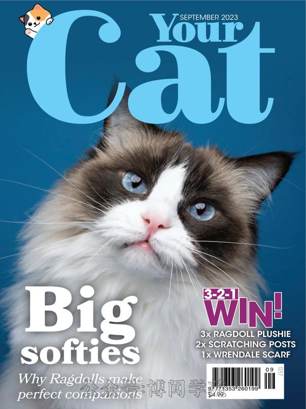 Your Cat 英国宠物猫杂志 2023年9月刊 (.PDF)