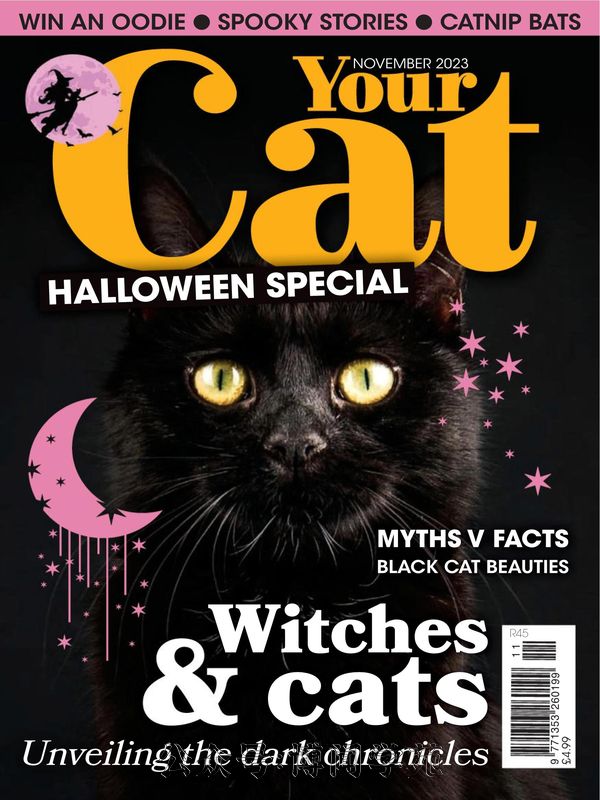 Your Cat 英国宠物猫杂志 2023年11月刊 (.PDF)