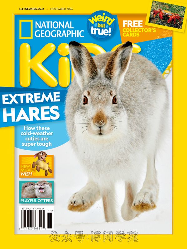 National Geographic Kids 国家地理少儿版 2023年11月刊 (.PDF)