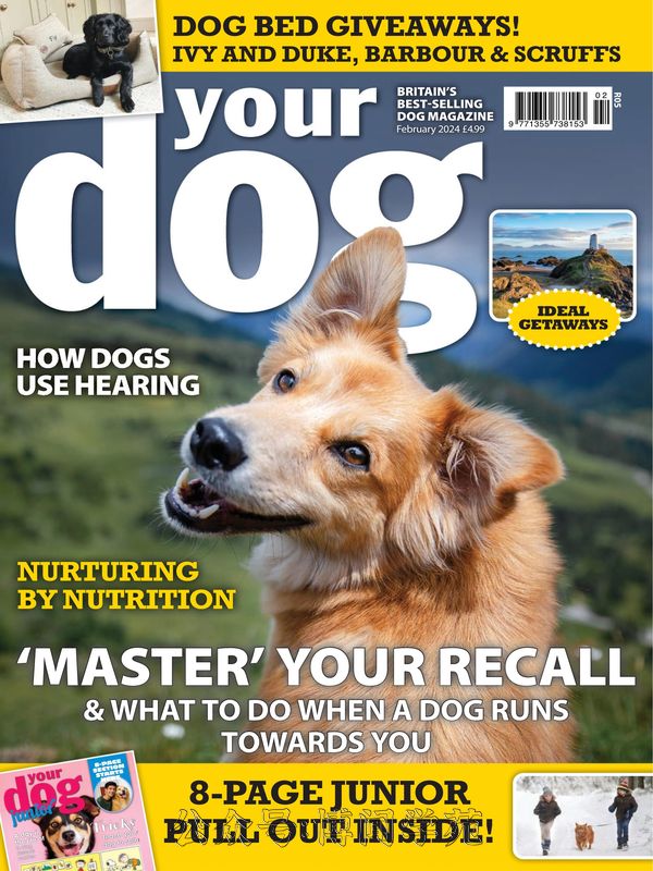 Your Dog 英国宠物狗杂志 2024年2月刊 (.PDF)