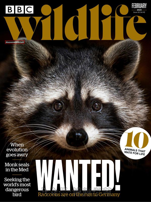 BBC Wildlife BBC野生动物 2024年2月刊 (.PDF)