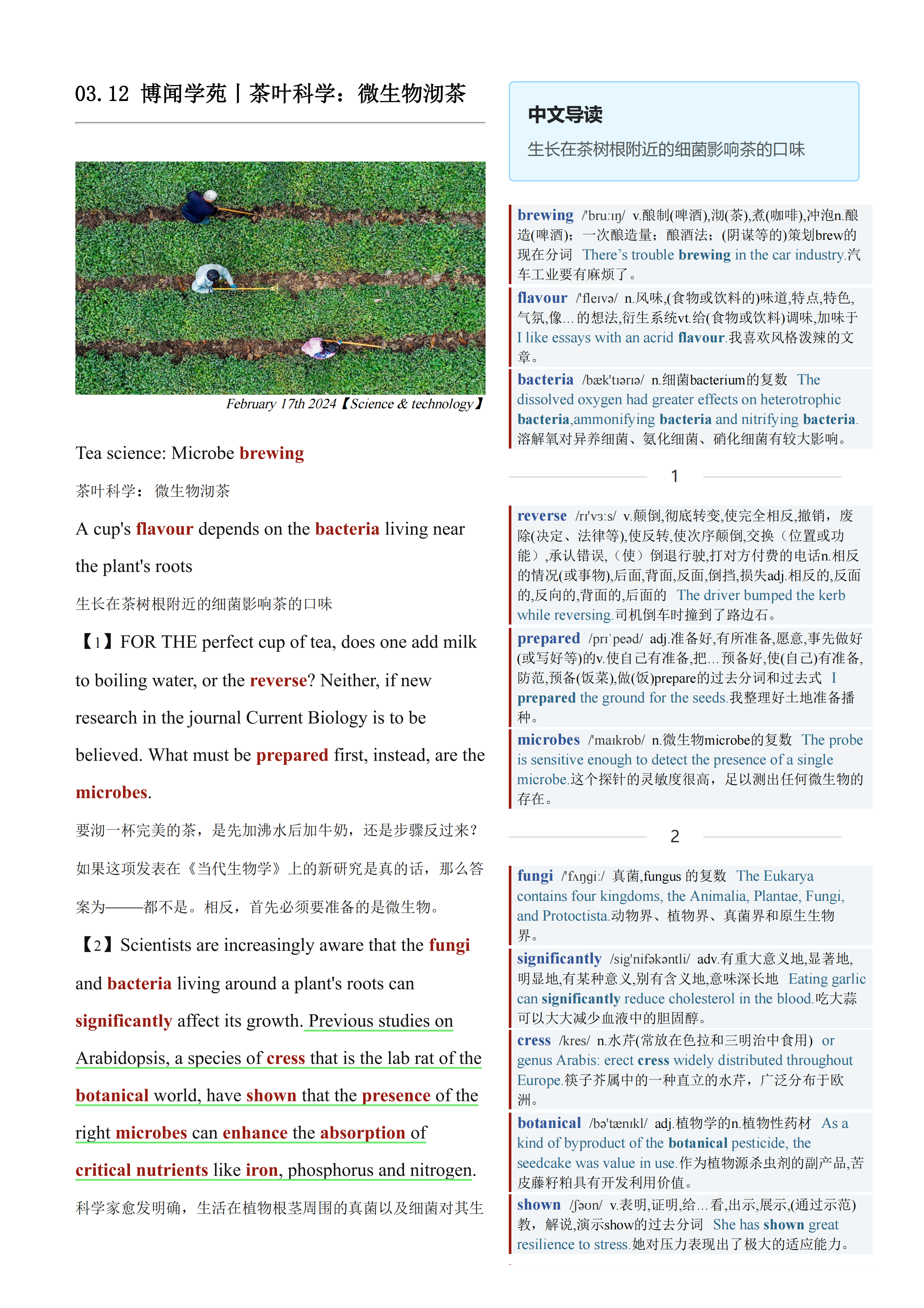 2024.03.12 经济学人双语精读丨茶叶科学：微生物沏茶 (.PDF/DOC/MP3)